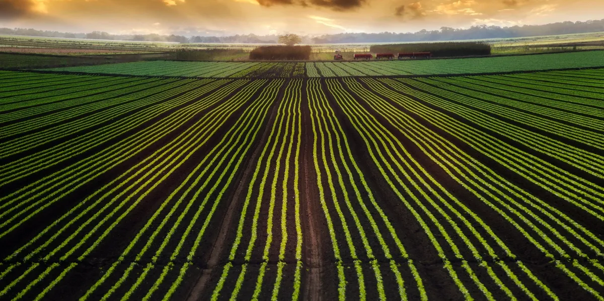 A beautiful landscape