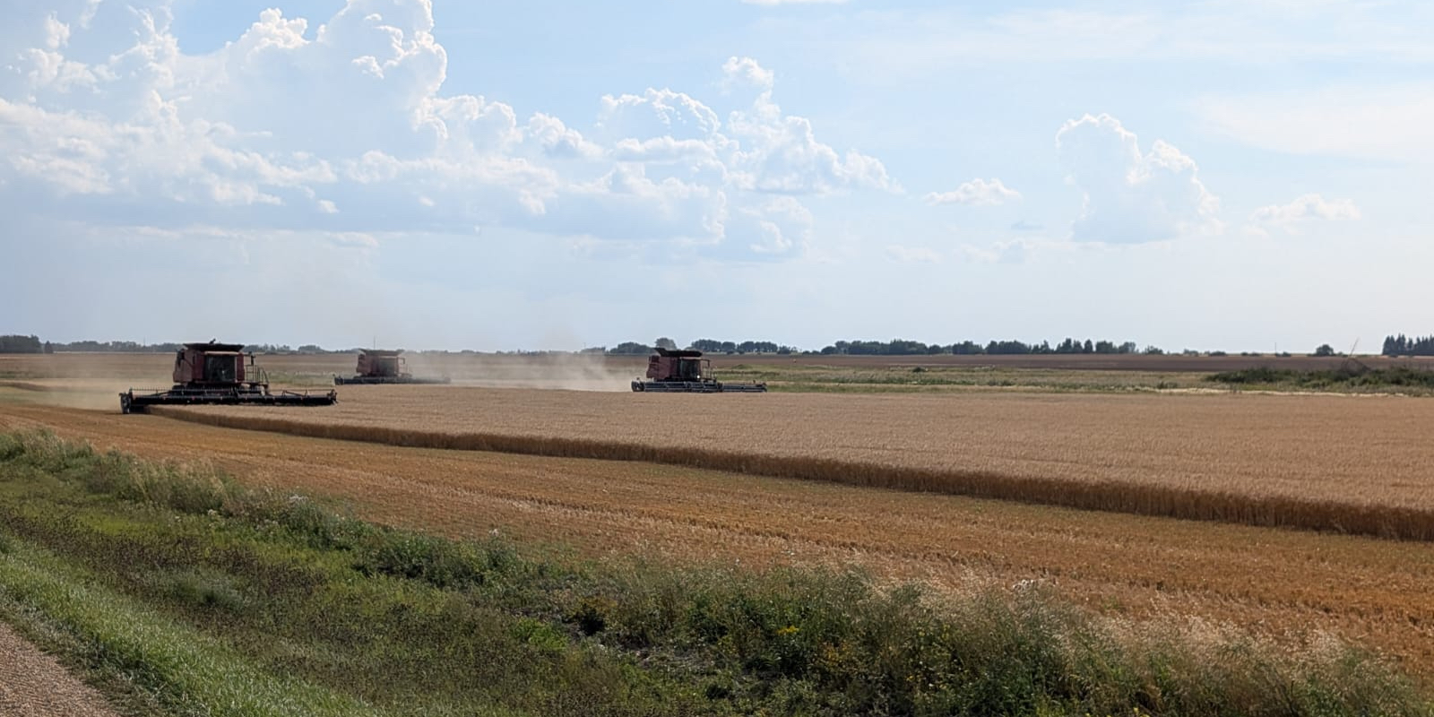 A beautiful landscape